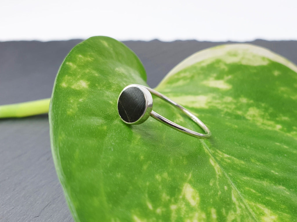 Dezenter Ring mit Ebenholz 6 ½