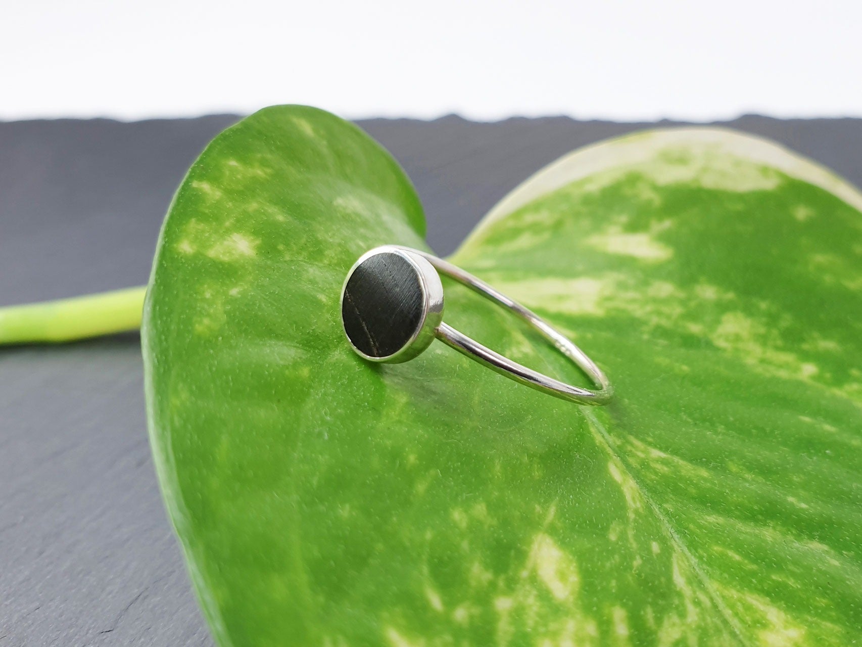 Dezenter Ring mit Ebenholz 6 ½